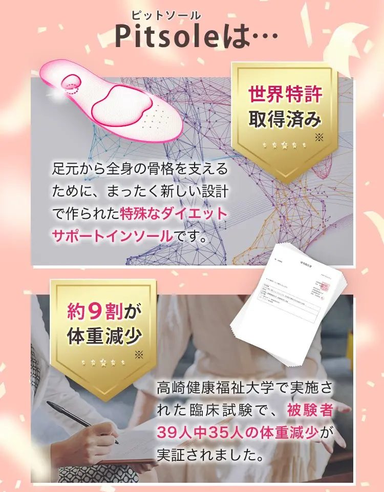 ピットソール