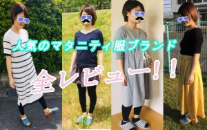 それ偽物かもよ ゴキちゃんグッバイの効果を他社製品と比較してみた みなろぐ